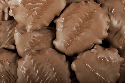 Milk Chocolate Giant Pecan Patties - Del's Popcorn Shop