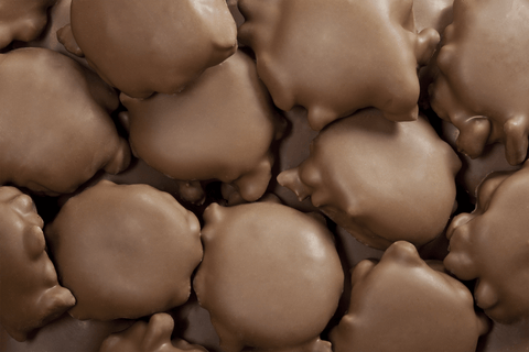 Milk Chocolate Pecan Caramel Patties - Del's Popcorn Shop