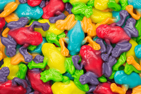 Gummy Rainforest Frogs